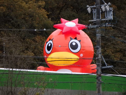 エアロオンザルーフ:うながっぱ