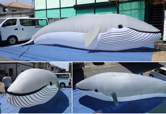 エアロインザルーム:クジラ レンタル