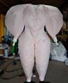 エア・コスチューム